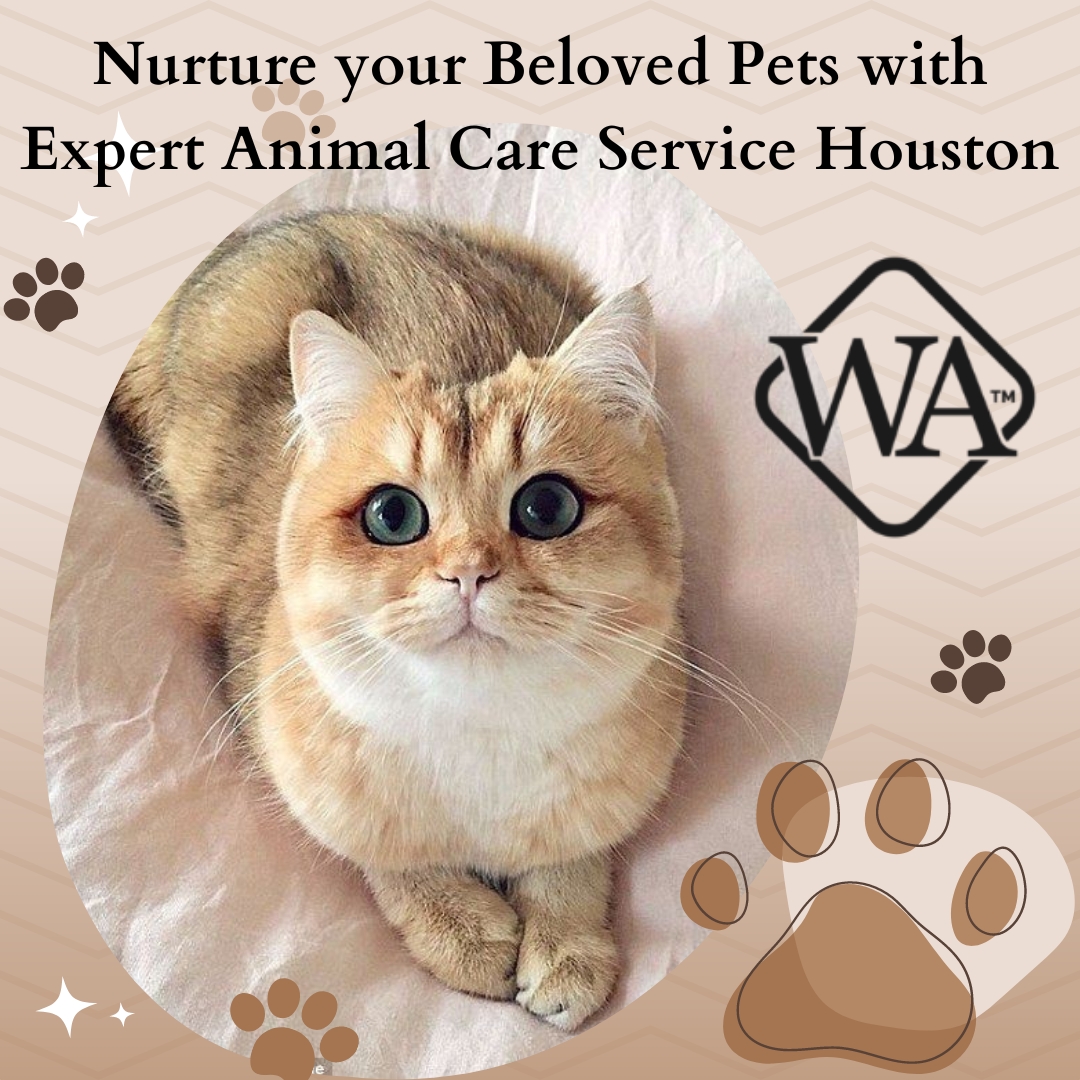 Nurture your Beloved Pets with Animal Care Service Houston